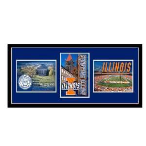 The University of Illinois Logo Wall hanging:  Home 