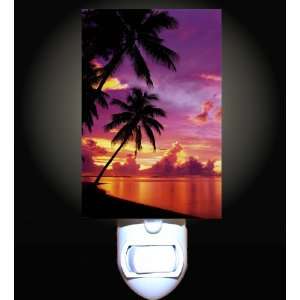  Hawaiian Tropical Sunset Decorative Night Light: Home 