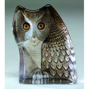  Large Owl With Color Etched Crystal Sculpture by Mats 