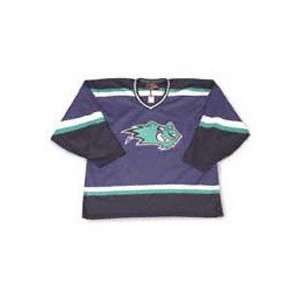    Worcester Ice Cats Road AHL Replica Jersey