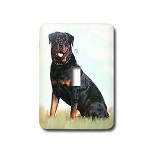Dogs Rottweiler   Rottweiler   Light Switch Covers   single toggle 