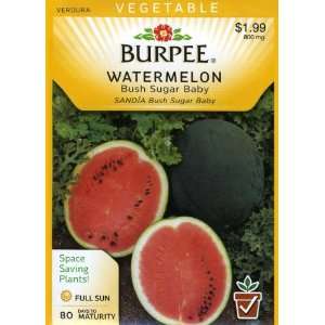  Burpee 64873 Watermelon Bush Sugar Baby Seed Packet Patio 