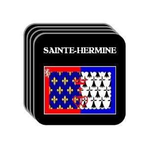  Pays de la Loire   SAINTE HERMINE Set of 4 Mini Mousepad 