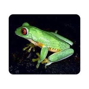  Red Eyed Tree Frog Mousepad: Office Products