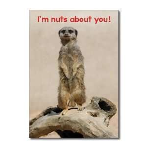 Funny Valentines Day Card Nuts Over You Humor Greeting Ron Kanfi