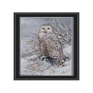 Bucilla 45470 Snowy Owl Counted Cross Stitch Kit, 11 Inch 
