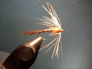 FALL RUN BROWN TROUT SOFT HACKLE Fishing Guide Fly  