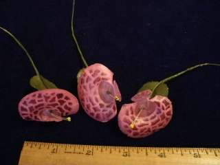 Vintage Millinery Flower Exotic Victorian NQ9 Pink Spot  