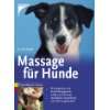 Massage und Physiotherapie bei Hunden: Beweglichkeit verbessern und 