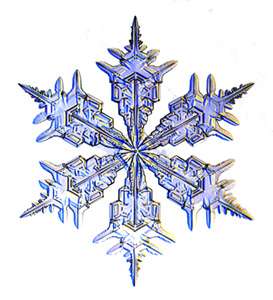 The Snowflake  Kenneth George Libbrecht, Patricia Rasmussen 