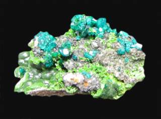 Dioptase Mineral Specimen from Tshumeb, Namibia  