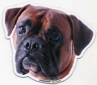 Boxer Dog Head Car Magnet  