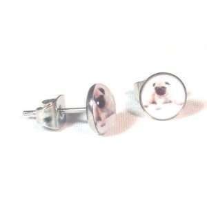 The Stainless Steel Jewellery Shop   7mm Pug Dog Logo Studs (pair 