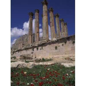  Columns in the Ancient Roman City in Jaresh, Jordan 