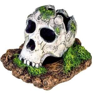  Exotic Environments Broken Skull Aquarium Ornament, Small 