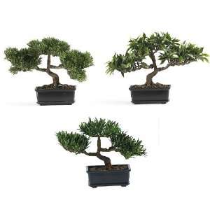 12 Bonsai Silk Tree Collection   (Set of 3)  Grocery 