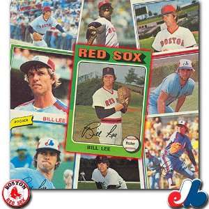  Boston Red Sox Bill Lee Player Cards