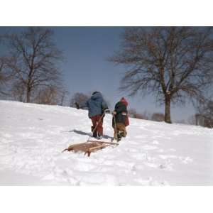 Two Boys Climbing Hill in Snow Pulling a Sled Photographic 
