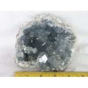    Celestite /Celestine Crystal Geode, 8.33.1 