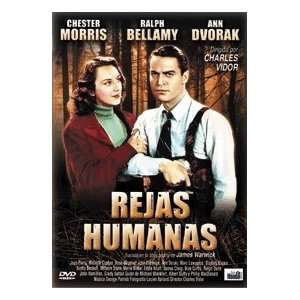  Rejas Humanas.(1939).Blind Alley Ralph Bellamy, Ann Dvorak 