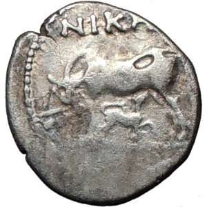 ILLYRIA APOLLONIA 208BC Authentic Rare Ancient Silver Greek Coin COW w 