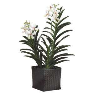   Faux 28 Vanda Orchid Plant in Woven Basket White Patio, Lawn & Garden