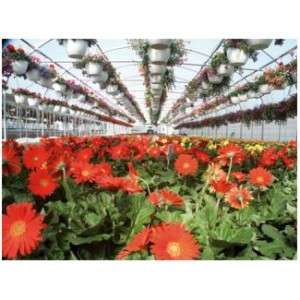 Greenhouse Gardening cd Nursery Flowers Plants 30 Books  