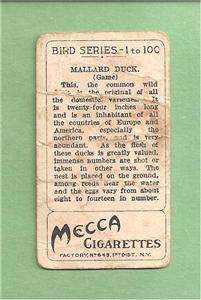 MECCA Bird Series Tobacco Trading Card  MALLARD DUCK  