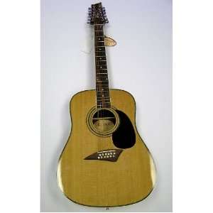   12 String Acoustic Guitar w/ Solid Spruce Top Musical Instruments