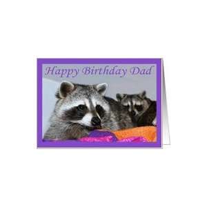  Dad Birthday, Raccoons together Card: Health & Personal 