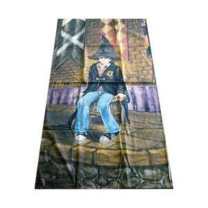  Harry Potter Sorting Hat   Cotton Pool Towel / Throw 