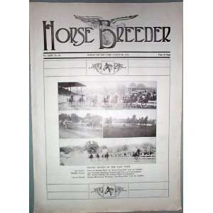  American Horse Breeder Vol. XXXIV No. 34 August 23, 1916 