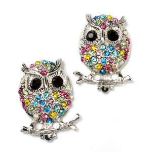    Gorgeous Multi Color Crystal Owl Lover Stud Earrings: Jewelry