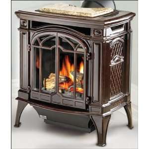  Fireplaces GDS25PW Bayfield 24 in. Cast Iron Direct Vent Stove 
